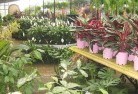 Ballandeanplant-nursery-7.jpg; ?>